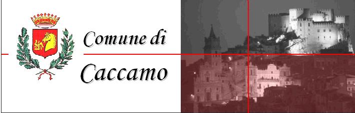 CO M UNE CACCAM O ProvinciaRegionalediPalermo CorsoUmbertoI,78 90012 Prov.Pa Tel.0918103111 IISETTOREATTIVITA'ECONOMICHE RESPONSABILEP.O.:GERACIMARIAFRANCA Responsabiledelprocedimento:SPICA60GIORGIO Determinazionen.