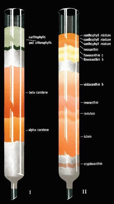 Il termine cromatografia è stato coniato all'inizio del XX secolo dal botanico russo Mikhail Tswett (o Cvet) che utilizzò una colonna impaccata con calcio carbonato (fase stazionaria) e una fase