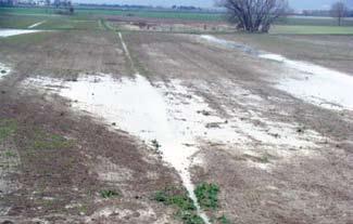 di sgrondo delle acque superficiali ed opportune sistemazioni del terreno in modo da evitare il ristagno idrico; - l uso adeguato delle macchine agricole con condizioni pedo-climatiche favorevoli.