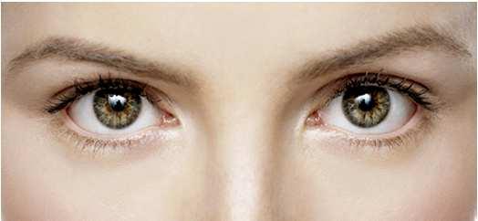 Visione binoculare E quella condizione della visione in cui entrambi gli occhi forniscono un contributo alla formazione della percezione visiva.