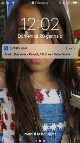 Notifiche push (mobili e