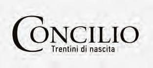 Vini TRENTINO CONCILIO Linea I Nativi Chardonnay Trentino D.O.C. Muller Thurgau Trentino D.O.C. Nosiola Trentino D.O.C. Pinot Grigio Trentino D.O.C. Gewurztraminer Trentino D.O.C. Schiava Vigneti delle Dolomiti I.