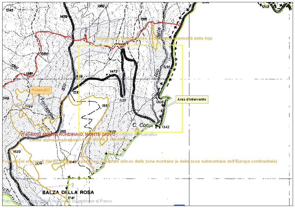 Protezione Speciale IT4040002 Monte Rondinaio-Monte Giovo), pertanto si ritiene possano essere ambientalmente compatibili gli interventi stessi con le finalità di conservazione della Z.P.S. interessata.