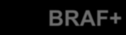 (TIR3) BRAF + BRAF - PTC 5 15