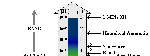 NaOH 1 M BASICO NEUTRO Soluzione di