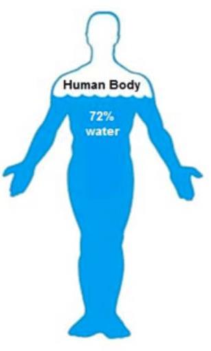 REGIME ALIMENTARE SPORTIVO (2) Un attenzione particolare va rivolta all idratazione corporea.
