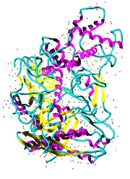 conformazione delle proteine dipende dall ambiente esterno: la catena polipeptidica tende