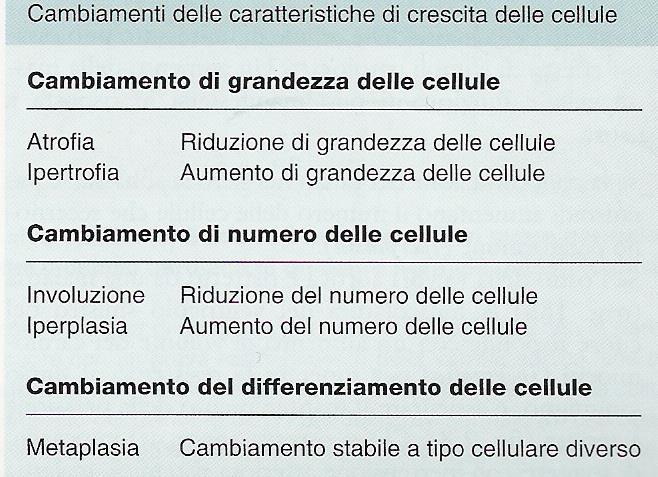 Non tutte le anomalie dell accrescimento e della