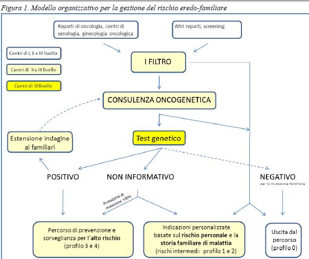 IL MODELLO