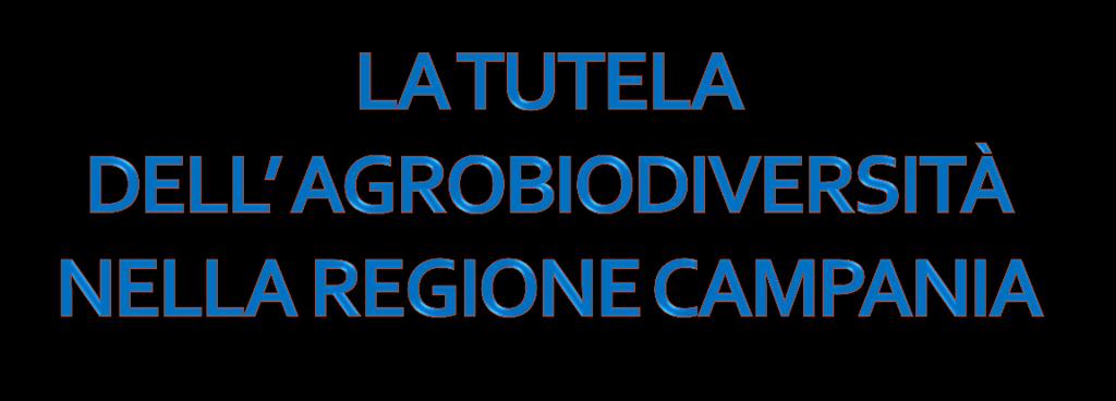 Assessorato all'agricoltura Assunta Di Mauro Direzione per le Politiche Agricole Alimentari e Forestali