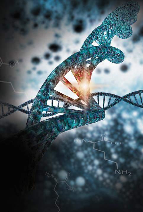 La Rivoluzione Genomica Le tecnologie dirompenti La genomica di nuova generazione La medicina di precisione e le terapie