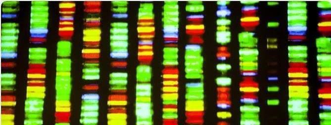 La Genomica di nuova generazione Introduzione Il genoma è la totalità del materiale genetico di un organismo; comprende sia i geni (la porzione codificante) sia il resto del materiale La Genomica si
