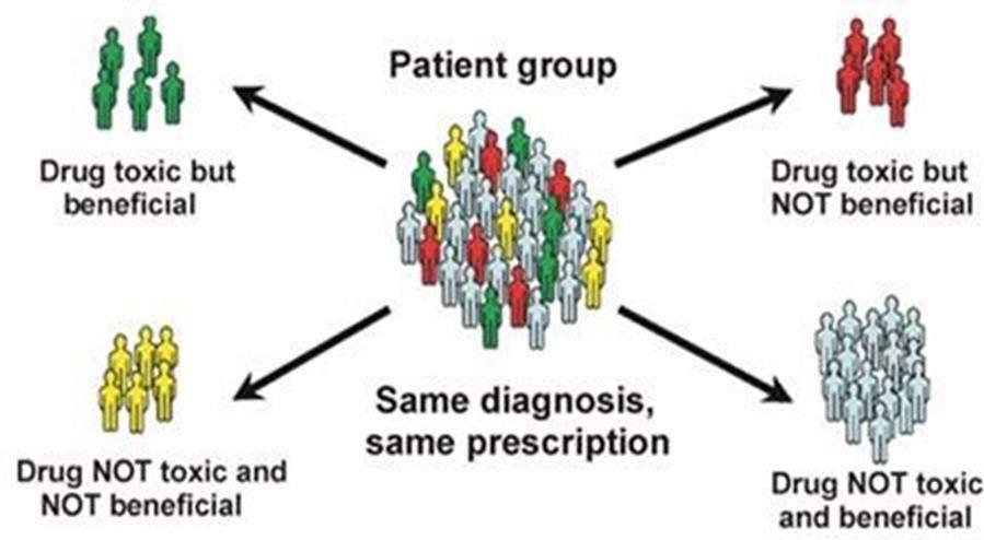 La medicina di precisione e le terapie avanzate La medicina personalizzata Oggi è possibile, usando analisi molecolari del genoma di ogni paziente, dividere i pazienti in sottogruppi: