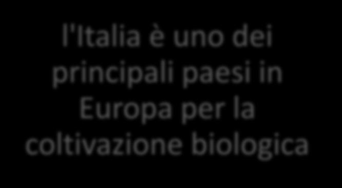 2017) Fa parte dei 5 paesi europei con più del 15% delle aziende