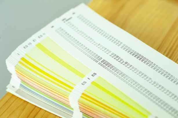 L aumento della temperatura superficiale di facciata può favorire l evidenziarsi di possibili problematiche, pertanto la colorazione della finitura decorativa