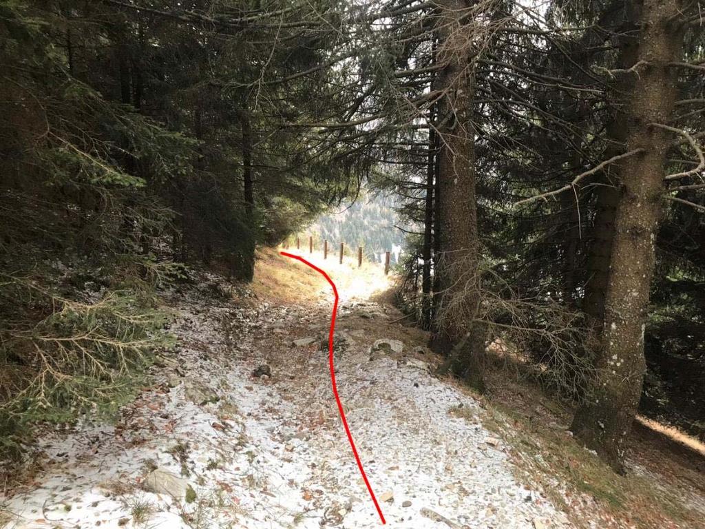 Terminato il tratto denominato Scala Santa il tracciato riprende nel bosco su terreno non