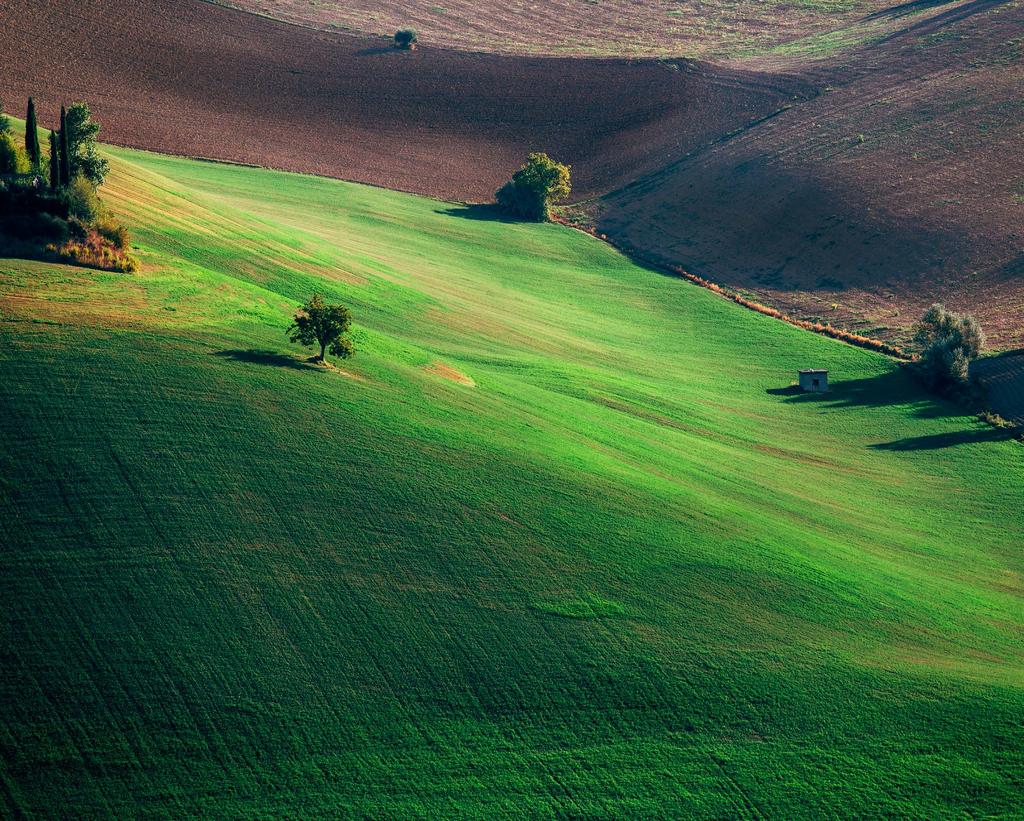 Agroenergetica è una società di servizi energetici costituita nel 2013 da una delle principali associazioni di categoria degli imprenditori agricoli CIA Agricoltori Italiani - e dalla principale