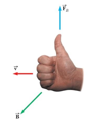 Ø La forza con cui un campo magnetico agisce su una particella con carica q che possiede una velocità v è un vettore che ha modulo pari a: Ø Ø F B F B " qv Forza Magnetica dove θ è l angolo tra il