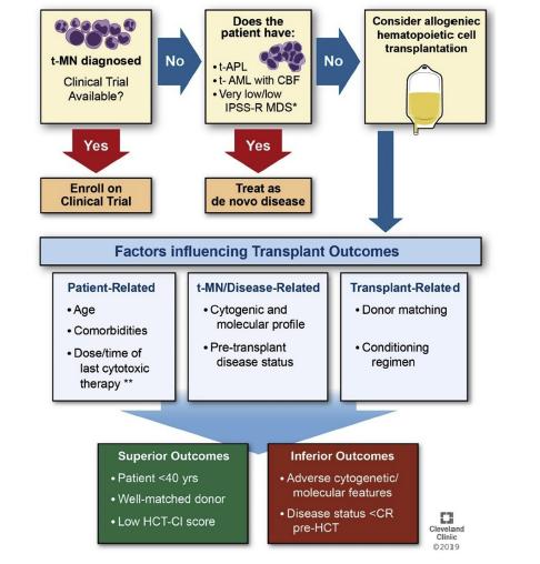 T-AML: INDICAZIONI AL TRAPIANTO ALLOGENICO