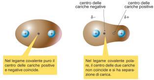 Nel legame covalente puro gli elettroni di legame sono equamente condivisi.