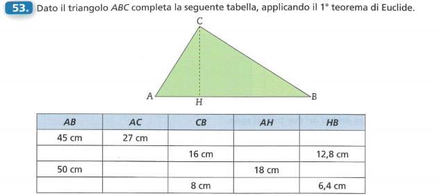 Soluzioni: 47) 216cm 48)112cm; 768cm 2 49) 40cm, 90cm