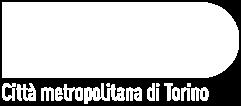 CONTRASTARE L EVASIONE FISCALE ATTRAVERSO LA PARTECIPAZIONE DEI COMUNI".