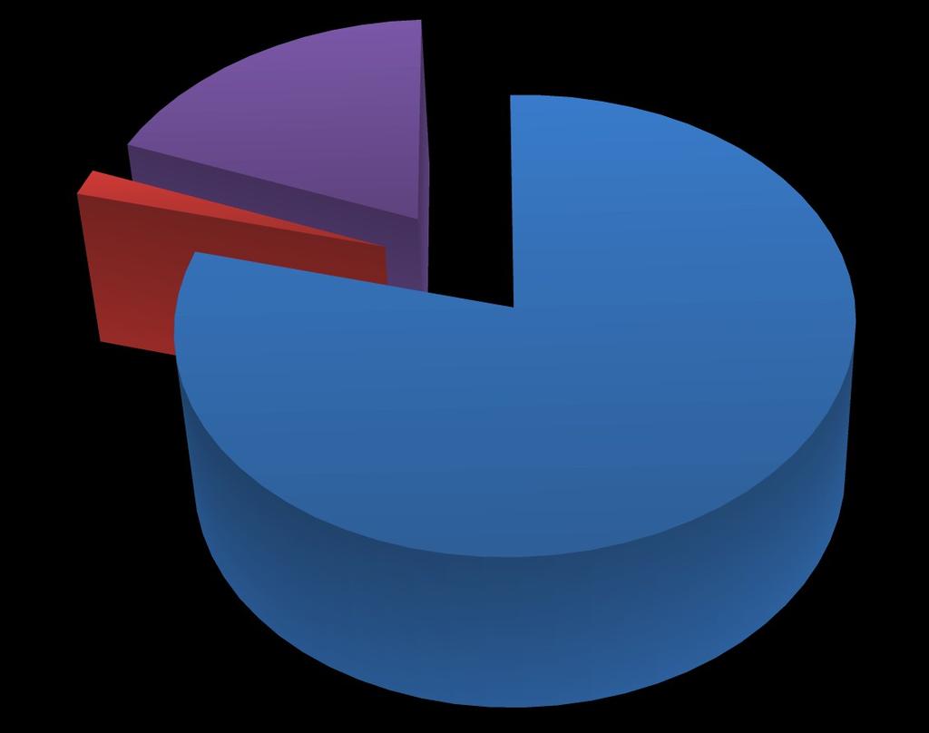 TIPOLOGIA DEL VALUTATORE 19% 2% Genitore Educatrice Collaboratrice Insegnante 8% Tipologia valutatore Fornace Pezzani Canova