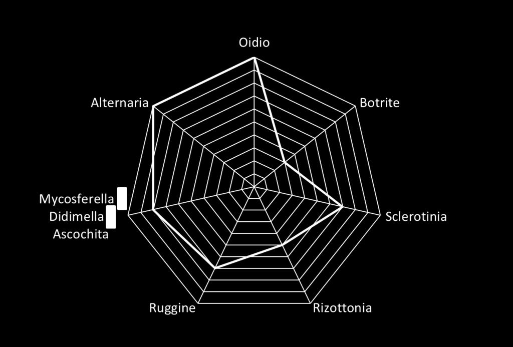 attività del