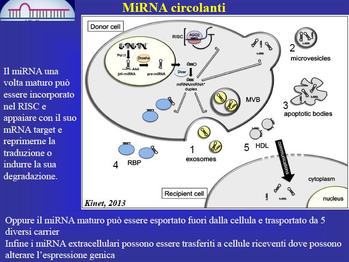 Binding Proteins