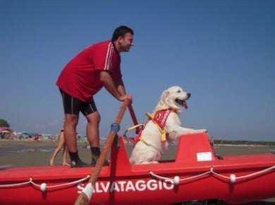 In occasione della maratona di nuoto a staffetta con Unità Cinofile della Scuola Italiana Cani Salvataggio organizzata dalla SICS Veneto a San Stino di Livenza nel dicembre