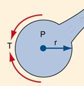 Tensione superficiale alveolare Tende a ridurre al minimo la superficie liquida dell alveolo e quindi il suo volume Si oppone ad ogni forza che tende ad aumentare l area della superficie