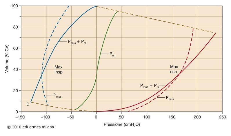 Effetti della contrazione isometrica dei muscoli respiratori sulle curve P/V del sistema toraco-polmonare Metodica A partire da un dato V, si chiede al soggetto di effettuare prima il massimo sforzo