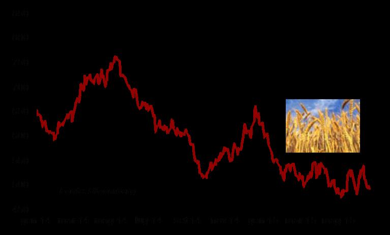 GRANO 496,25 c$/bu -3,53% -17,22% Settimana negativa per il grano che risente dell abbondante offerta mondiale.