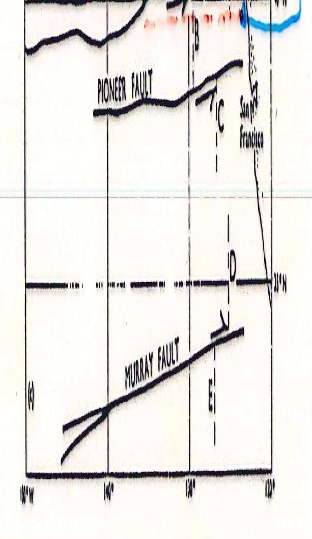 tettonica 41-42 N 39-40 N Profili magnetici sfasati (freccia), di