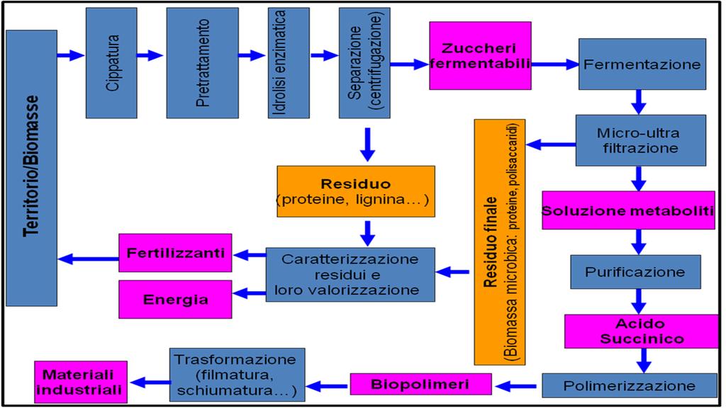 Diagramma di PERT SCHEMA DEI PROCESSI E