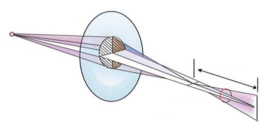 Effetto Mandelbaum E un fenomeno involontario che si viene a creare quando uno stimolo visivo più ravvicinato richiama l attenzione visiva.