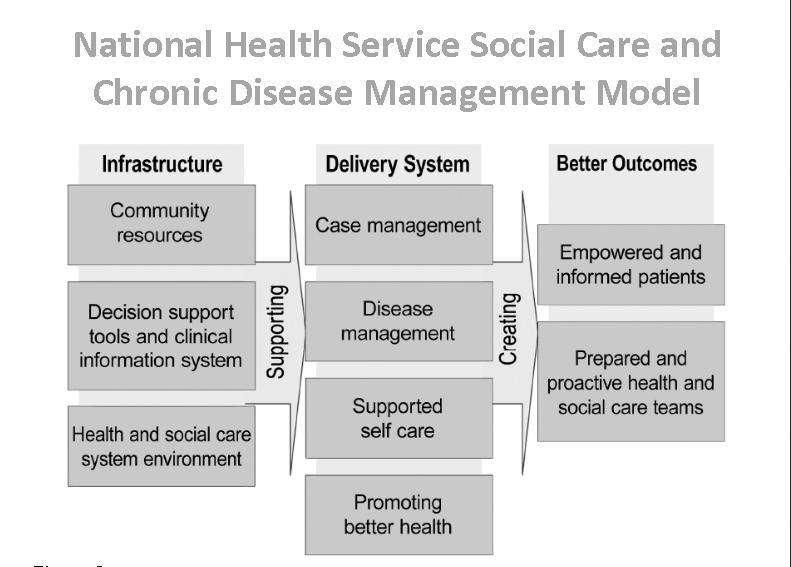 National Health Service Social Care