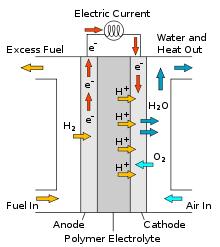 Sviluppo di nuovi catalizzatori da utilizzare come anodi nelle Fuel Cell (FC) a Membrana a Scambio Protonico