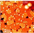 Mesoporous  with