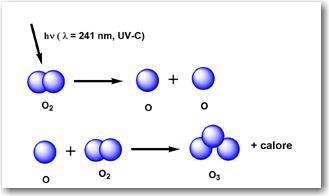 Ozono stratosferico (O 3 ): 1 1.