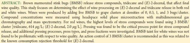 vive/grappolo provoca effetti negativi su Pinot