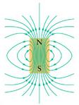 possiedono un momento di dipolo magnetico (fatto sperimentale).