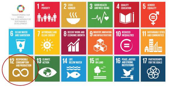 AGENDA ONU 2030 OBIETTIVI DI SVILUPPO SOSTENIBILE TARGETS GOAL 12 GARANTIRE MODELLI DI CONSUMO E PRODUZIONE SOSTENIBILE Entro il 2030 raggiungere la gestione sostenibile e l uso efficiente delle