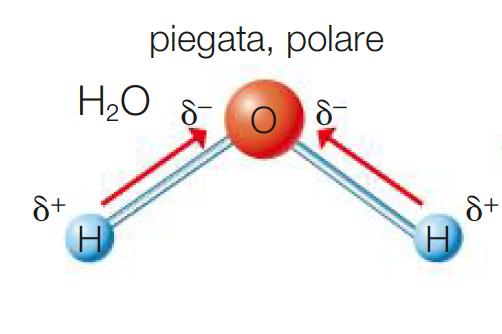 Tipi di legame covalente La molecola di CO 2 è apolare, poiché