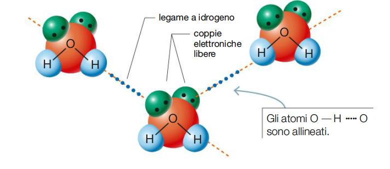 I legami fra le molecole Tale legame è direzionale: le molecole devono disporsi con una precisa geometria, in modo che H si trovi tra i due