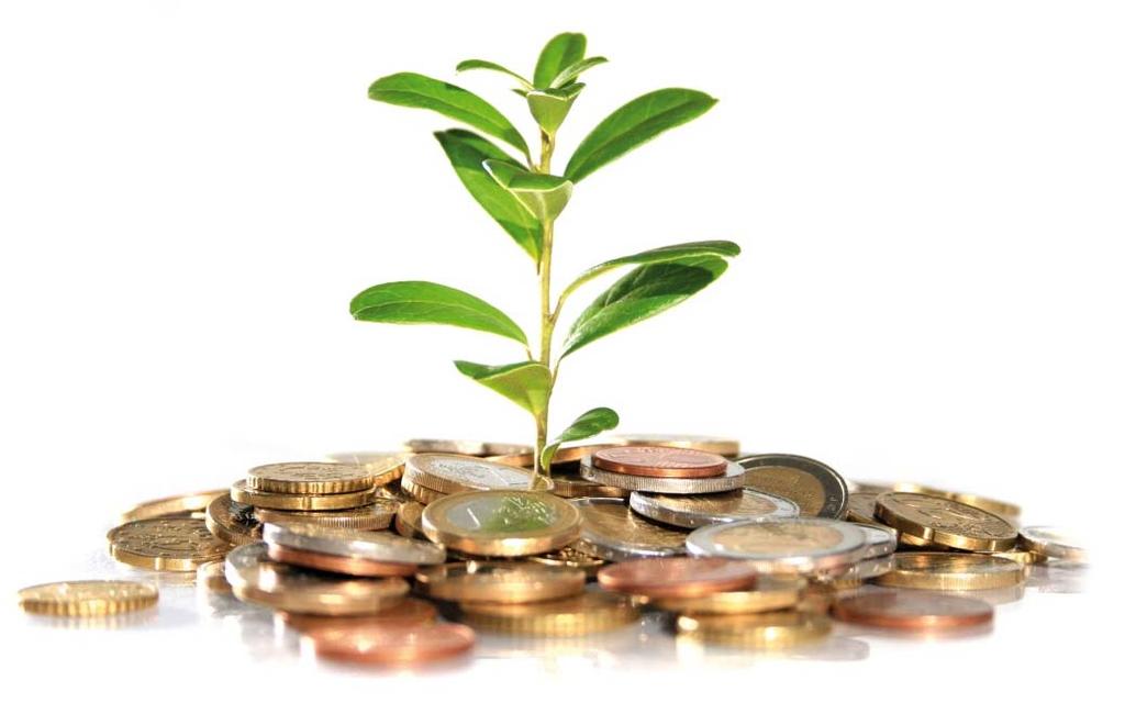 Le informazioni e le soluzioni finanziarie per la crescita delle aziende green PORTALE VedoGreen www.vedogreen.