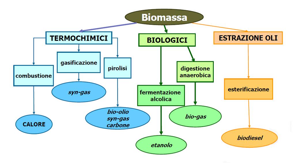 La biomassa come fonte di energia rinnovabile *Convegno Le prospettive della