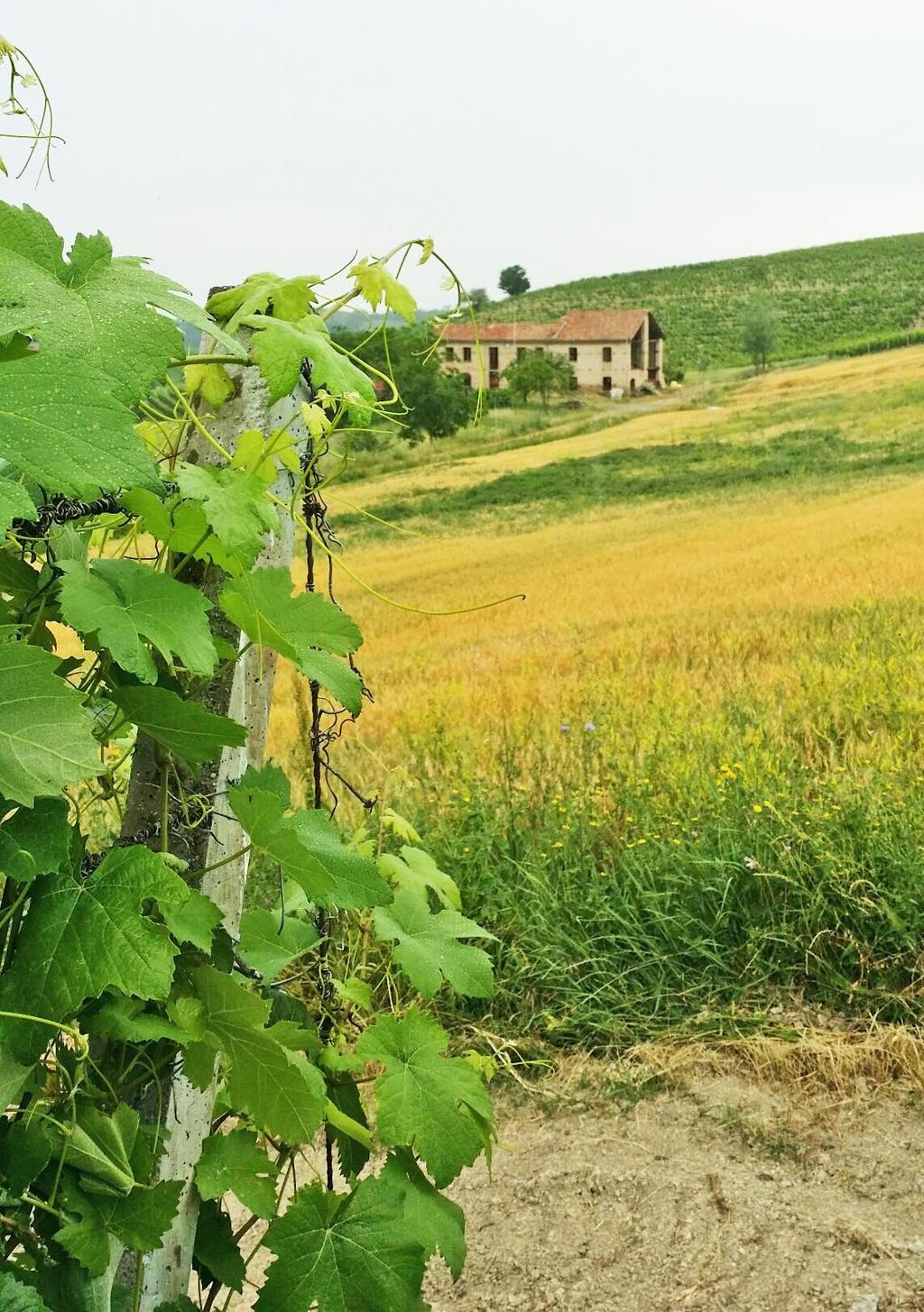 Ecomuseo Alto Astigiano Un progetto per la riscoperta