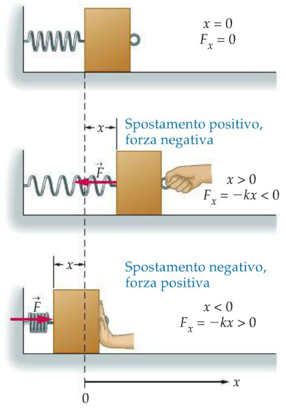 Tensione uniforme in tutta la corda: ' = () La corda tira dall'alto e dal basso Forze sul piede:!