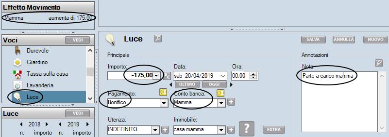 Il giorno 20 Aprile pago la bolletta, tramite RID (o Bonifico), della Elettricità per mia madre.